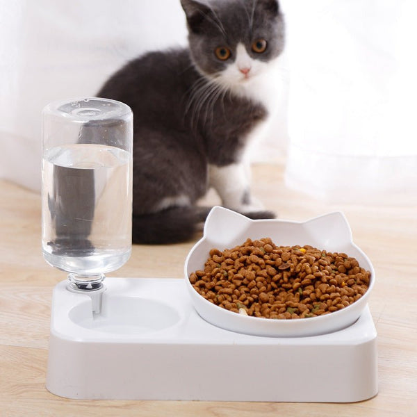 Double Dog Cat Bowls Water and Food Bowl